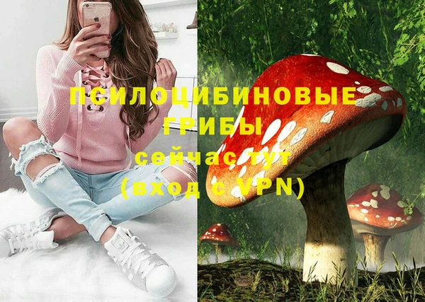 ГАЛЛЮЦИНОГЕННЫЕ ГРИБЫ Красноперекопск