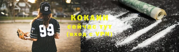 spice Краснослободск