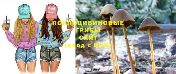 spice Краснослободск