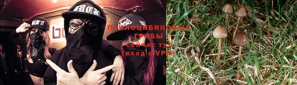 ГАЛЛЮЦИНОГЕННЫЕ ГРИБЫ Красноперекопск