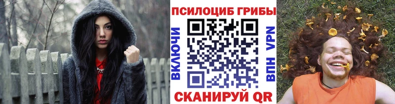 Купить где Томск Галлюциногенные грибы Psilocybine cubensis
