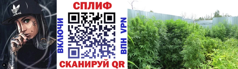 Бошки марихуана индика  Купить закладки  Томск 